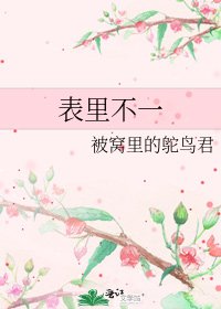《表里不一》