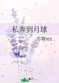 《私奔到月球》
