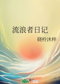 流浪者日记