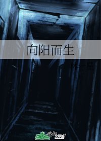 《向阳而生》