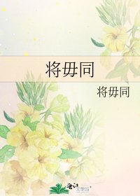 《将毋同》