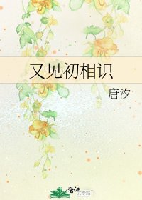 《又见初相识》