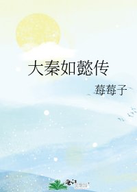 《大秦如懿传》