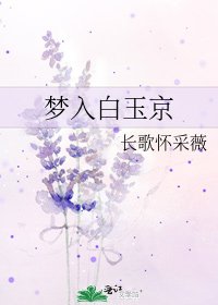 《梦入白玉京》