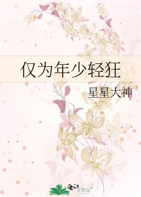 《仅为年少轻狂》