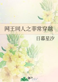 《网王同人之菲常穿越》