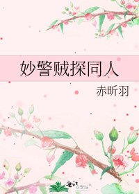 《妙警贼探同人》