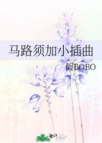 《马路须加小插曲》