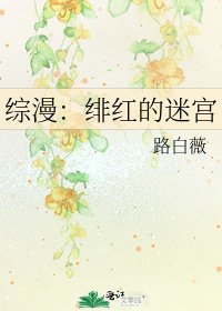 《综漫:绯红的迷宫》