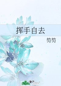 《挥手自去》