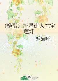 《(杨戬)流星街人在宝莲灯》