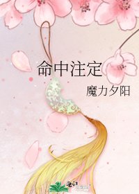 《命中注定》