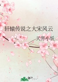 轩辕传说之大宋风云