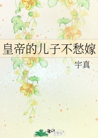 《皇帝的儿子不愁嫁》