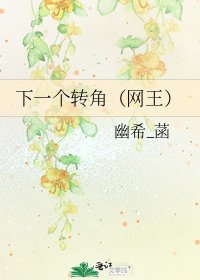 《下一个转角(网王)》