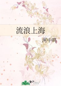 《流浪上海》