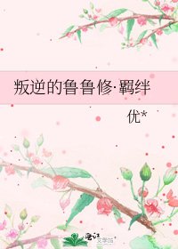 《叛逆的鲁鲁修·羁绊》