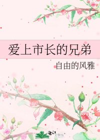 《爱上市长的兄弟》