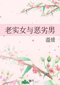 《老实女与恶劣男》