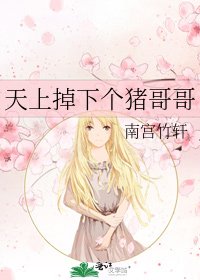 《天上掉下个猪哥哥》