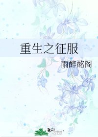 重生之征服