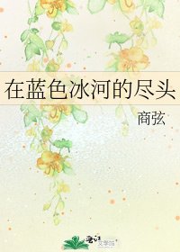 《在蓝色冰河的尽头》
