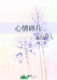 《心情碎片》