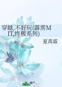 《穿越,不好玩(霹雳MIT,终极系列)》