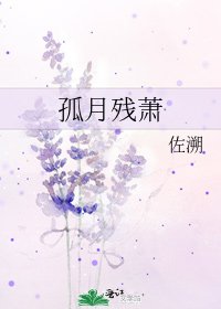 《孤月残萧》