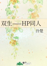 《双生——HP同人》