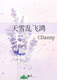 《天雪乱飞鸿》