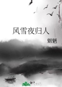 《风雪夜归人》