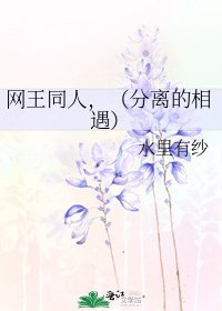 《网王同人,(分离的相遇)》