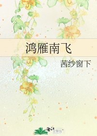 《鸿雁南飞》