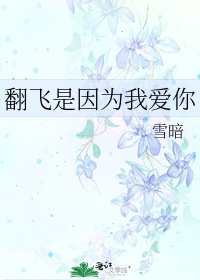 翻飞是因为我爱你
