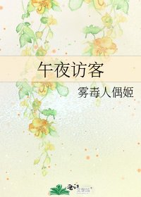 《午夜访客》