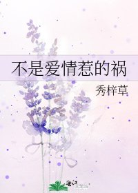 《不是爱情惹的祸》