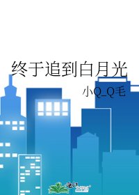 《终于追到白月光》