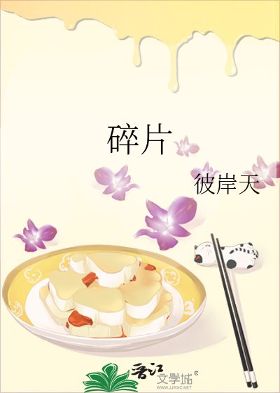 《碎片》