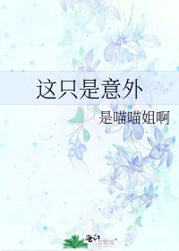 《这只是意外》