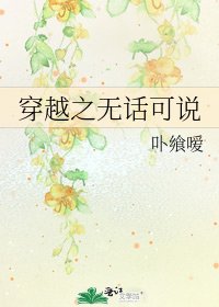 《穿越之无话可说》