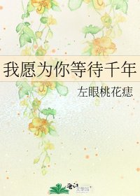 《我愿为你等待千年》