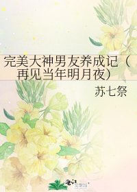 完美大神男友养成记(再见当年明月夜)