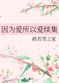 《因为爱所以爱续集》