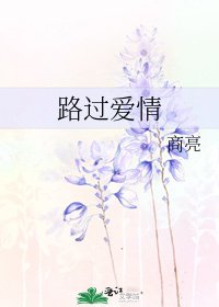 《路过爱情》