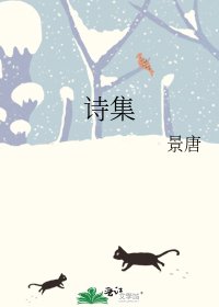 《诗集》