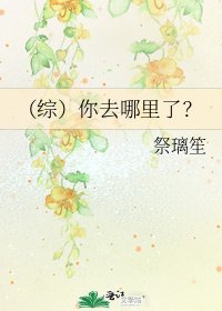 《(综)你去哪里了?》