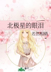 《北极星的眼泪》