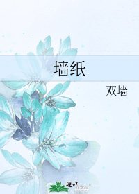 《墙纸》