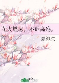《花火燃尽,不诉离殇。》